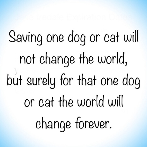 Jane Iredale Brush Lip Sable - Picture 5 of 5